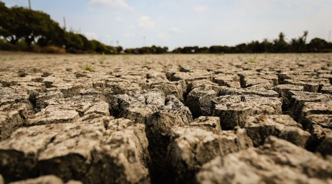 Realidades del cambio climático